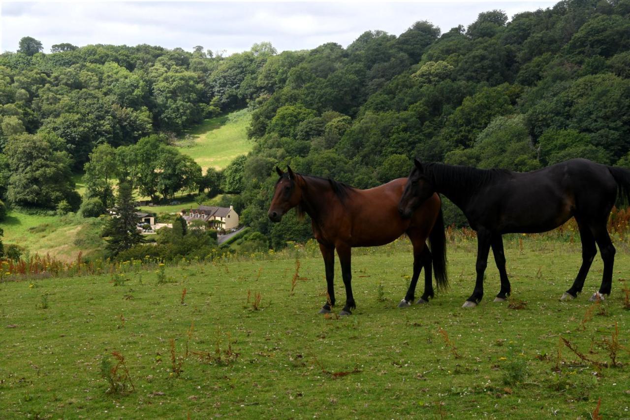 Ty Twt - Complete Holiday Home Llandysul Luaran gambar