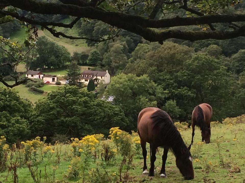 Ty Twt - Complete Holiday Home Llandysul Luaran gambar